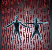 dna both